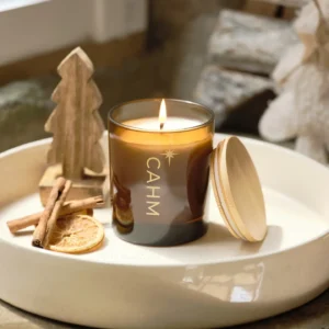 Spiced Orange Festive Scented Candle